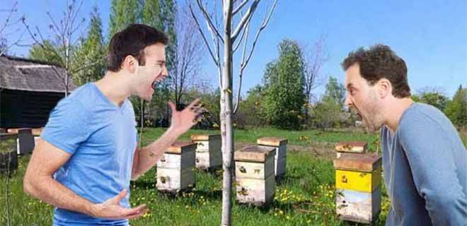 Как избавиться от пчел соседа: 19 способов