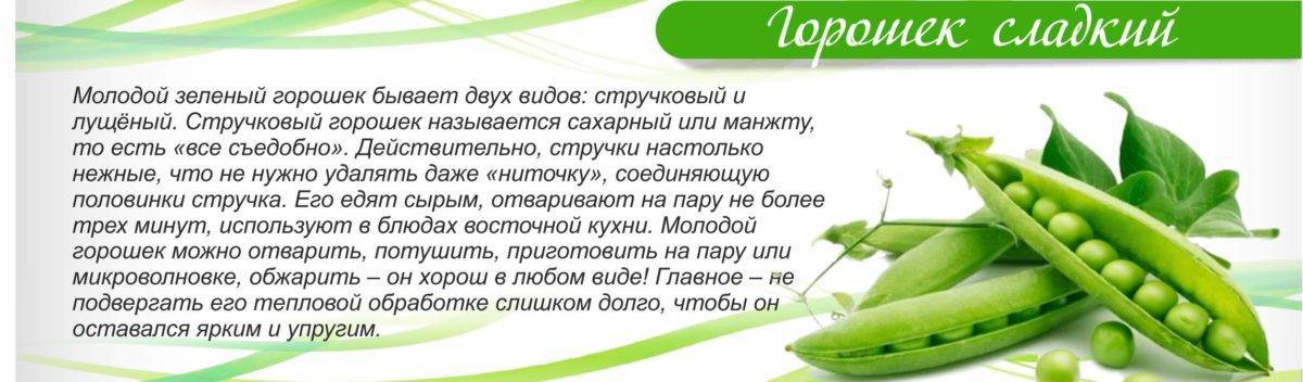 Зеленый горох: польза и вред для здоровья, свойства, состав и калорийность,