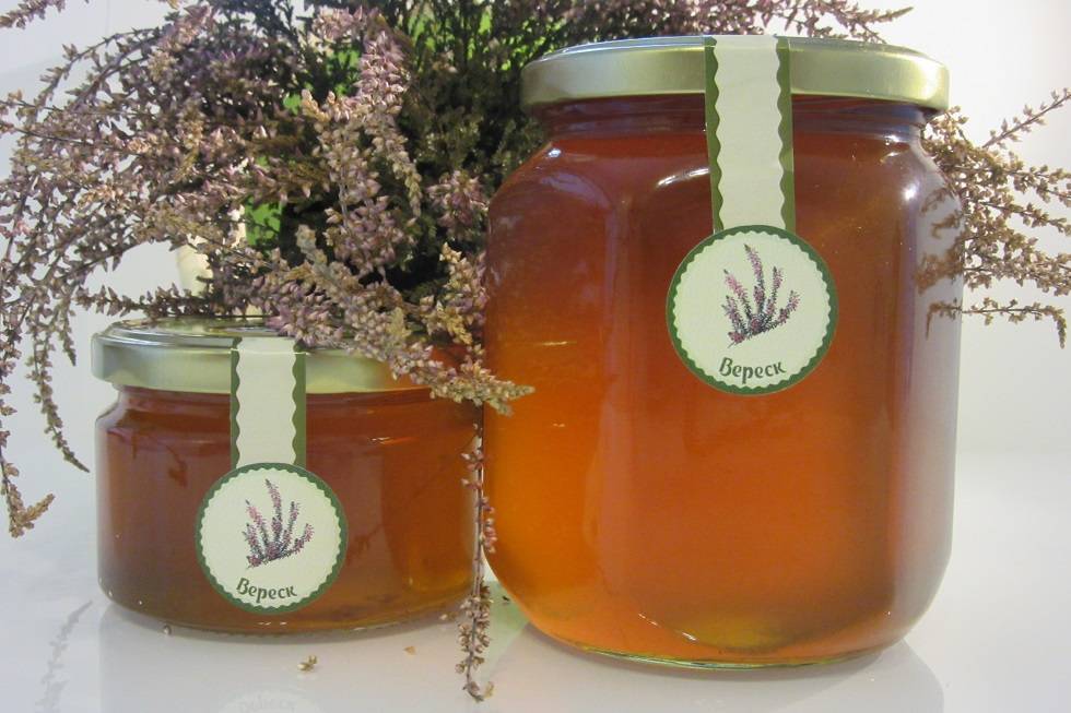 Верескоый мед свойства, польза и противопоказания знаменитого меда