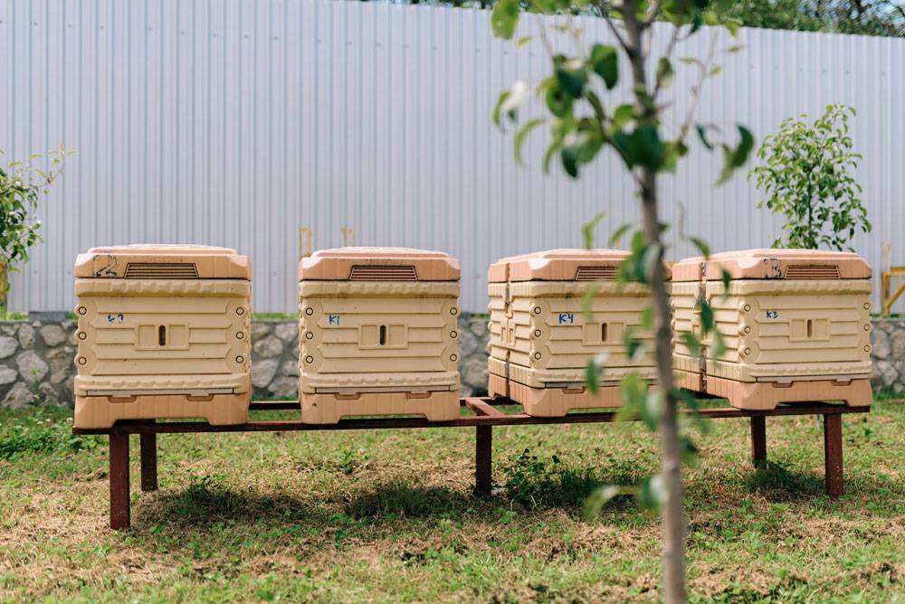 Пчеловодство как бизнес с чего начать как преуспеть
