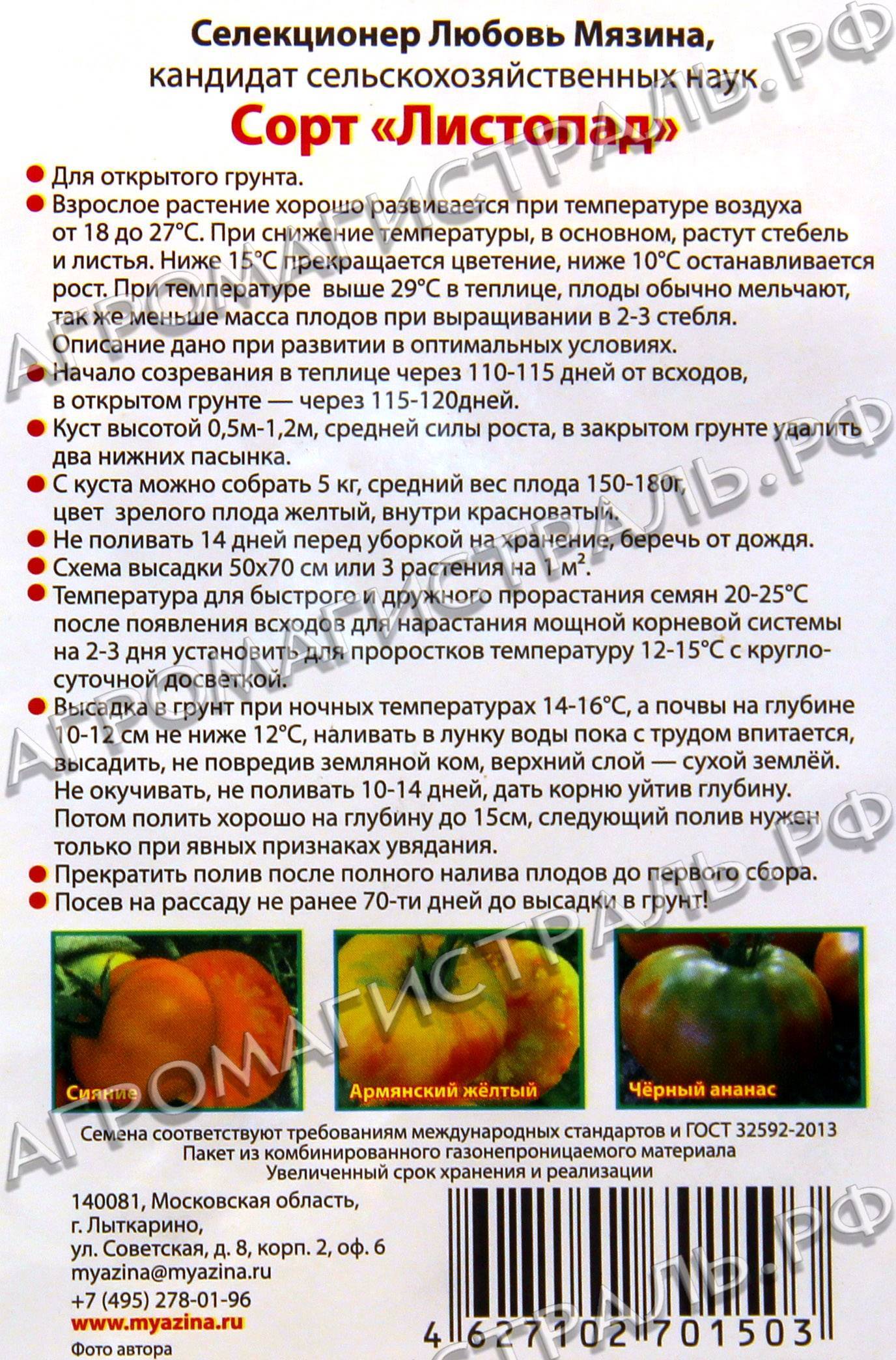 ᐉ томат фатер рейн описание сорта - ogorod-u-doma.ru