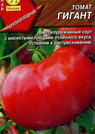 Характеристика и описание сорта томата испанский гигант, его урожайность 
