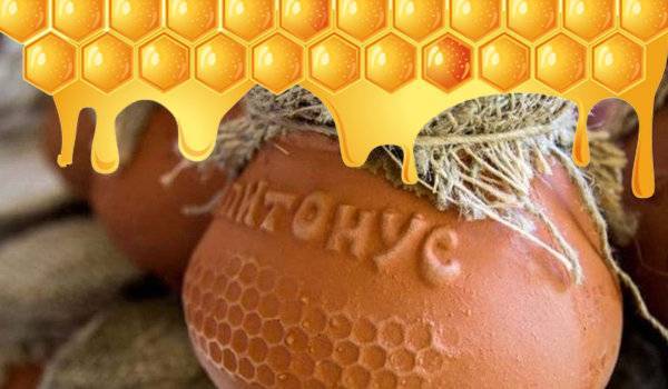 Как принимать абхазский мёд апитонус и его лечебные свойства