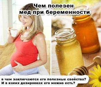 Можно ли беременным мёд, польза и вред, как правильно употреблять при беременности, какой сорт выбрать, полезные рецепты