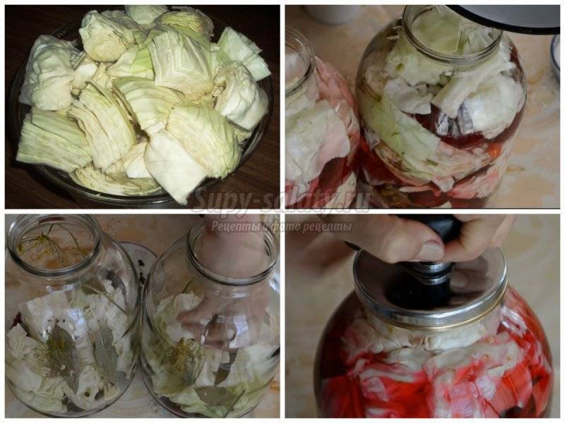 Маринованная капуста на зиму в банках – 10 вкусных рецептов хрустящей капусты