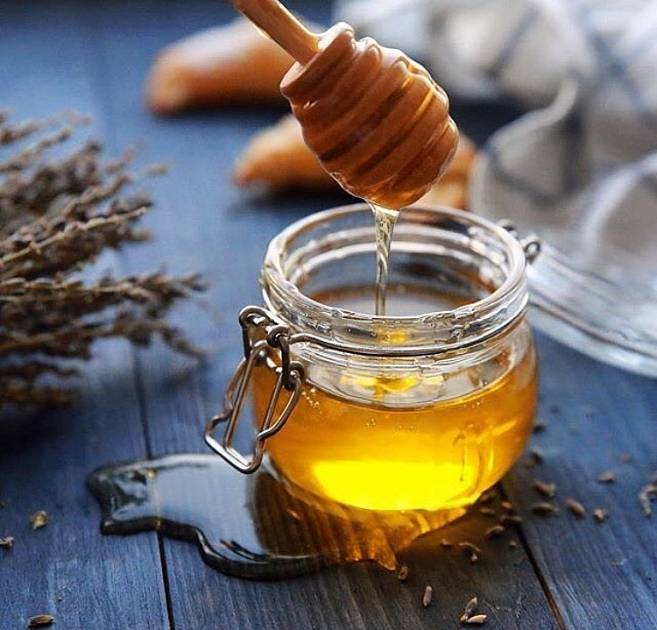 Таёжный мёд: полезные свойства и противопоказания, характеристика и состав, фото