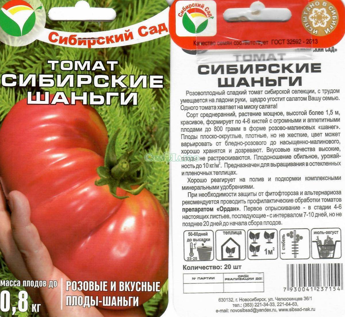 Томат сибирские шаньги: отзывы об урожайности, фото помидоров, характеристика и описание сорта