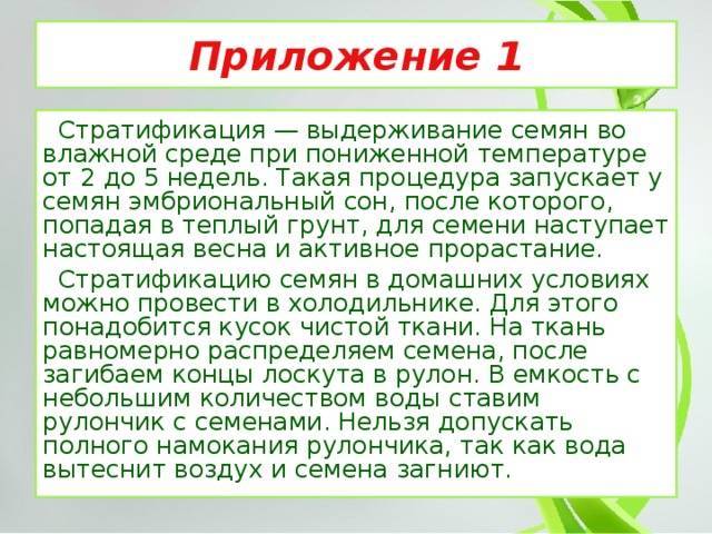 Стратификация семян в домашних условиях :: syl.ru