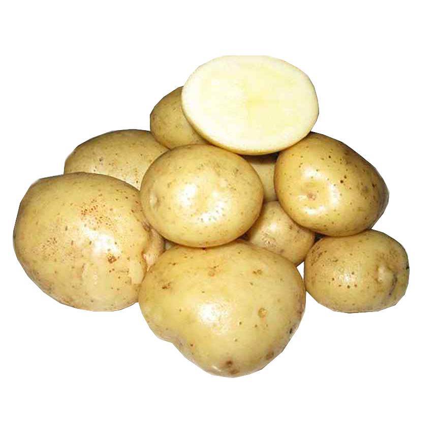 Картофель адретта: характеристика и описание сорта картошки, фото кустов и урожая, отзывы тех, кто выращивал