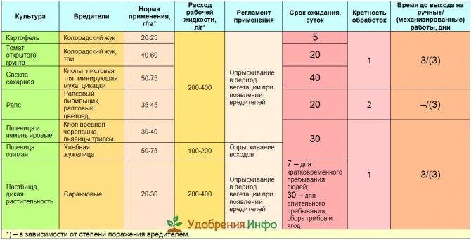 Средство от колорадского жука табу: инструкция по применению