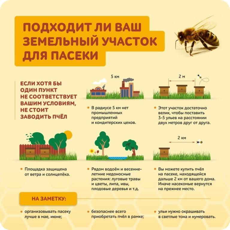 Закон нижегородской области о пчеловодстве (2021 г.)