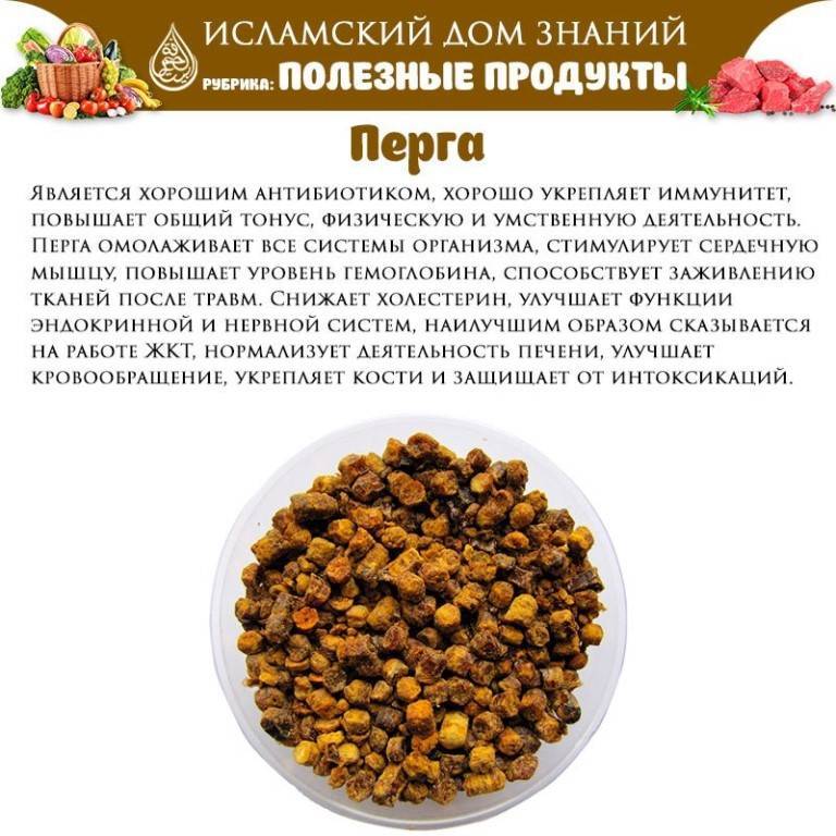 Перга, как принимать, лечение | medbashkir.ru интернет-пасека пчеловодческого хозяйства "саргаев а.а."