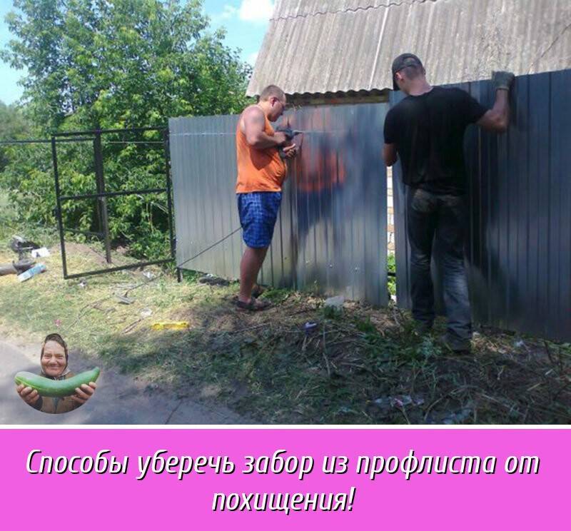 Забор из профнастила (профлиста) своими руками – как сделать правильно, установка, монтаж и строительство + фото, видео