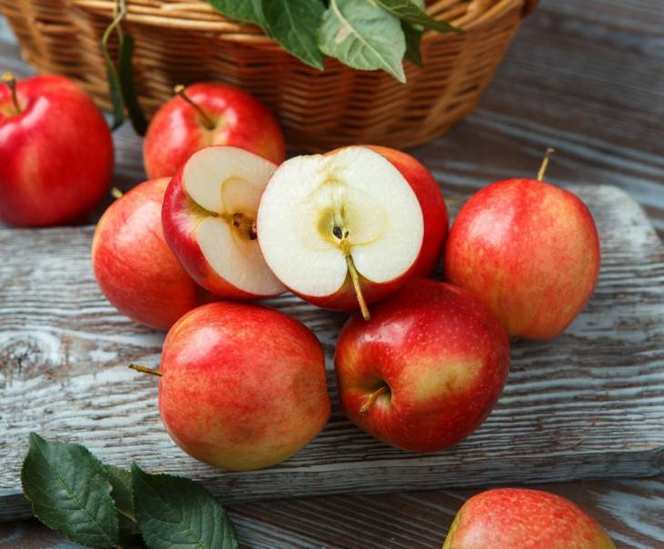 Яблоня пепин шафранный – зимостойкая красавица в вашем саду!