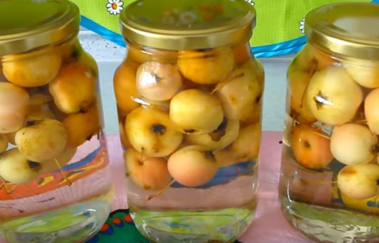 Классические рецепты яблочного компота на 3 литровую банку