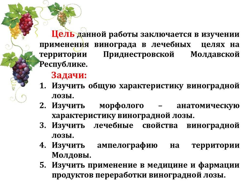 Свойства винограда - медицинский портал eurolab
