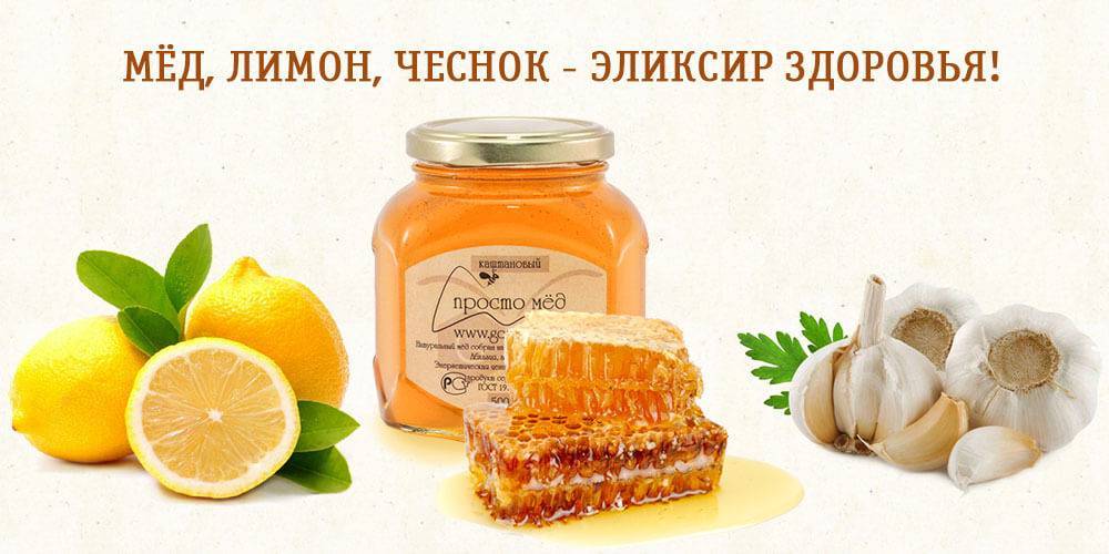 Мед, чеснок и лимон — гремучая смесь пользы и здоровья