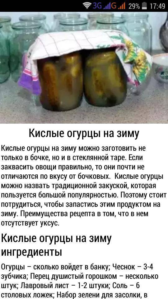 Укроп на зиму – 8 лучших заготовок свежего укропа с сохранением аромата