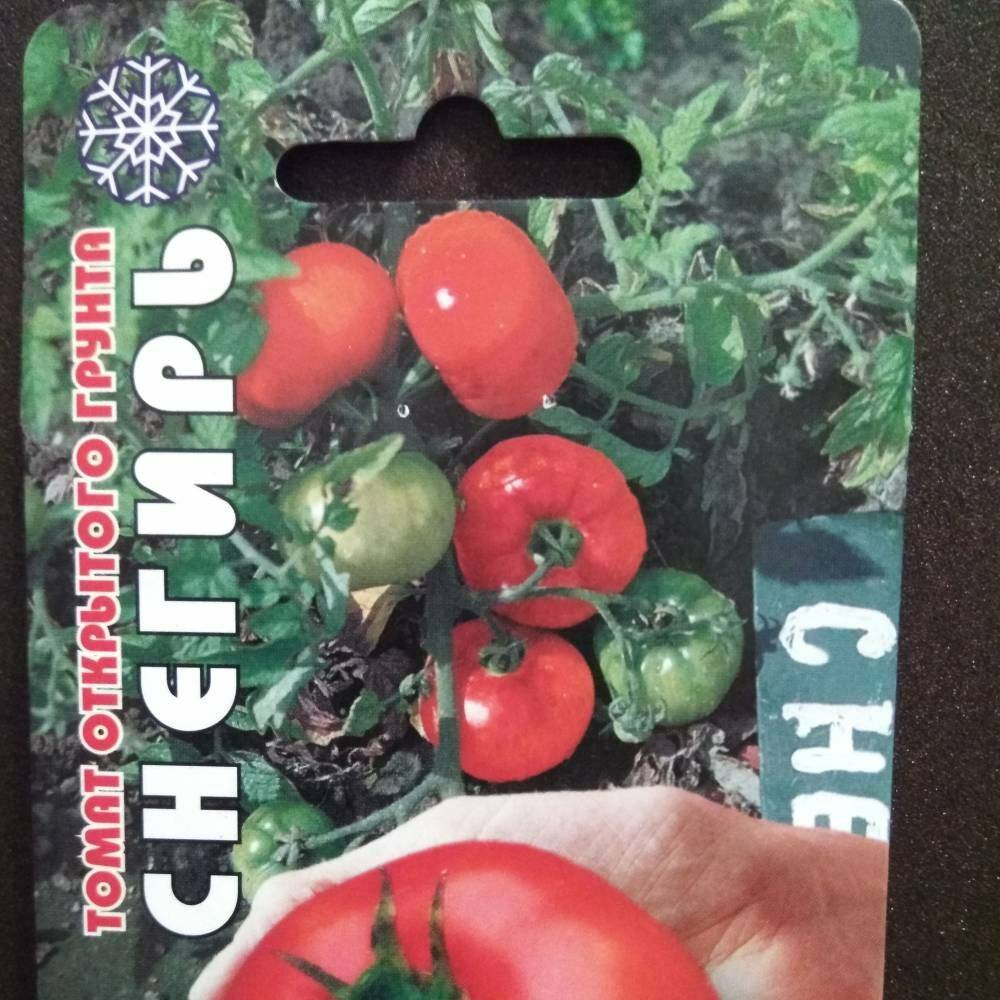Семена томаты снегирь ростки семян кроссворд