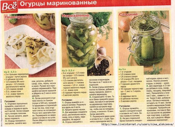 Салат из огурцов на зиму – 16 рецептов и видео