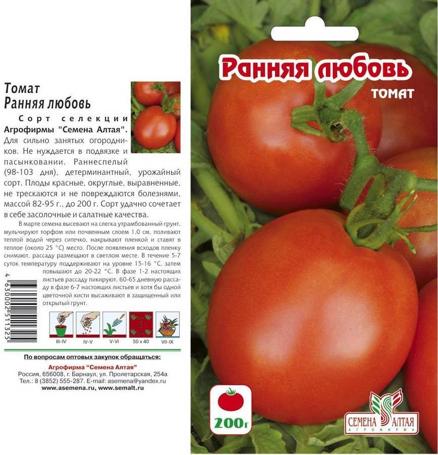 Среднерослый сорт с красивыми и вкусными плодами — томат сердце буйвола: описание помидоров и их характеристики