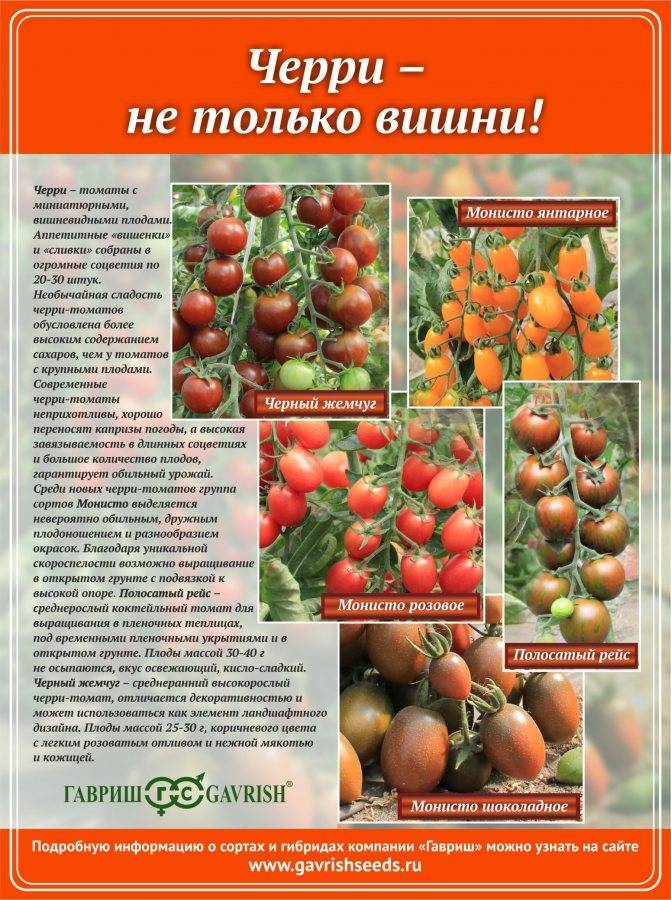 Томаты | сорта полосатых томатов