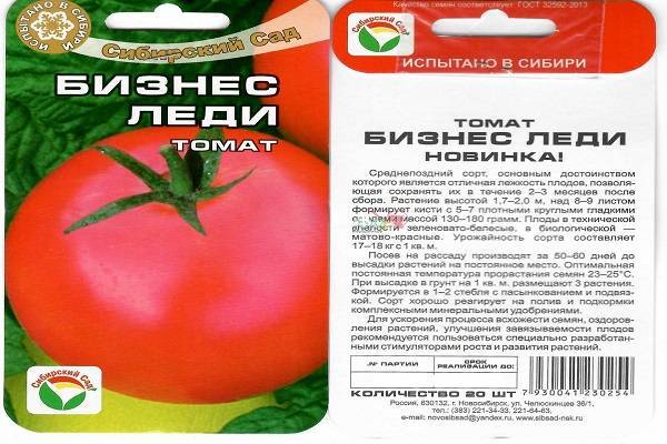 Сорт томата Бизнес леди и размножение растения рассадным способом