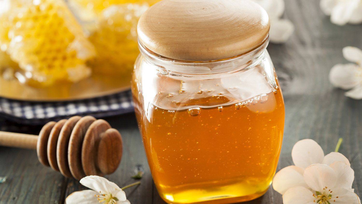 Лечение язвы жедудка манука медом