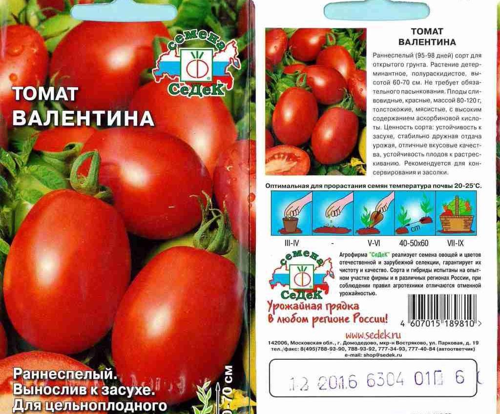 Томат фиделио: описание и характеристика сорта, фото, отзывы, урожайность