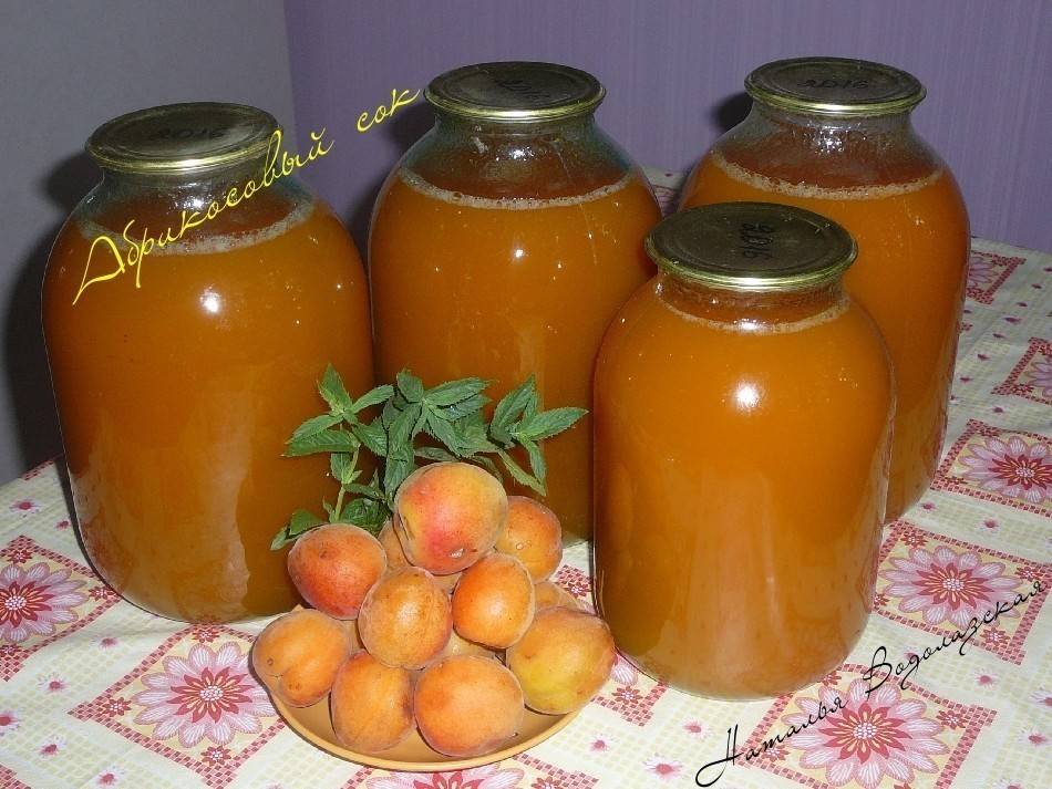 Рецепты абрикосового сока с мякотью и без на зиму в домашних условиях, через соковыжималку
