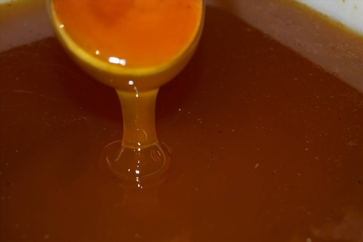 Мед из сафлоры: полезные свойства