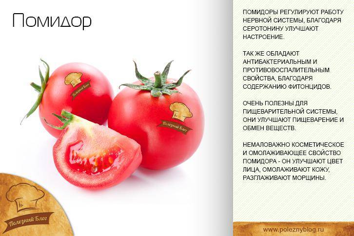Помидоры — полезные свойства для организма человека + кому противопоказаны помидоры и почему