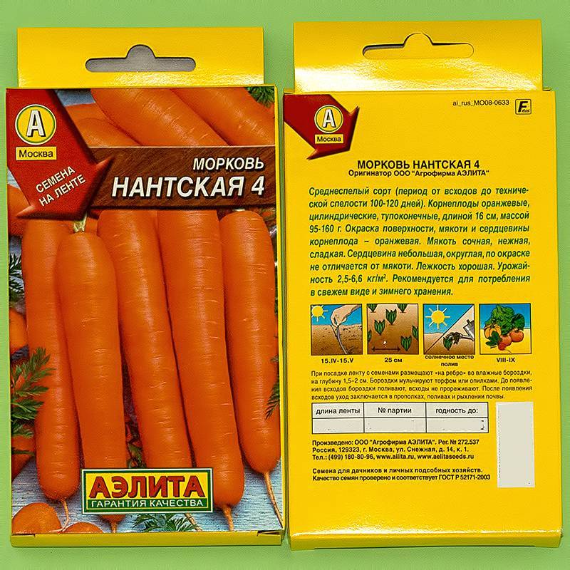 Морковь нантская: фото, описание сорта и характеристика + отзывы