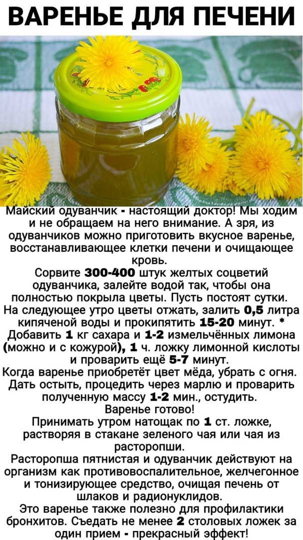*одуванчиковый мед* +15 рецептов. обсуждение на liveinternet