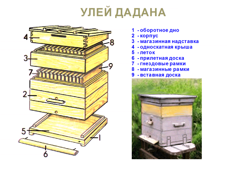 Разведение пчел в пластиковых бутылках чертежи