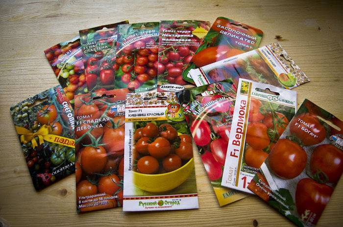 Засолочные сорта томатов | tomatland.ru