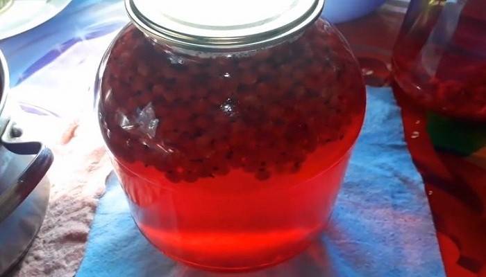 Компот из красной смородины с апельсином на зиму — рецепты приготовления без стерилизации