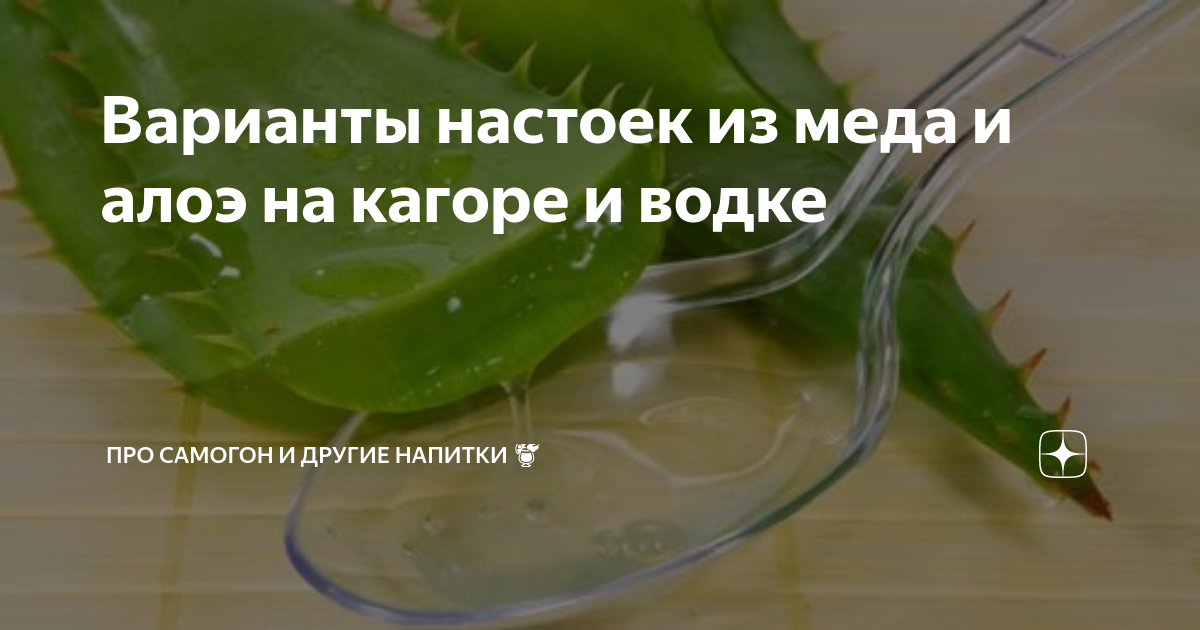 Лекарство из алоэ в домашних условиях рецепт. Настойка из алоэ. Лечебная настойка из столетника.