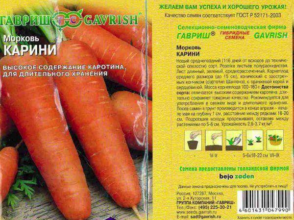 Топ-10 лучших сортов моркови – рейтинг 2022 года