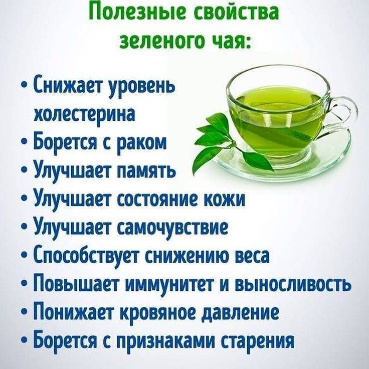 Различие между черным и зеленым чаем. их полезные свойства