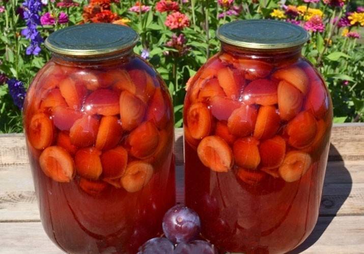 Компот из свежих слив на зиму: 9 удачных рецептов — самый смак