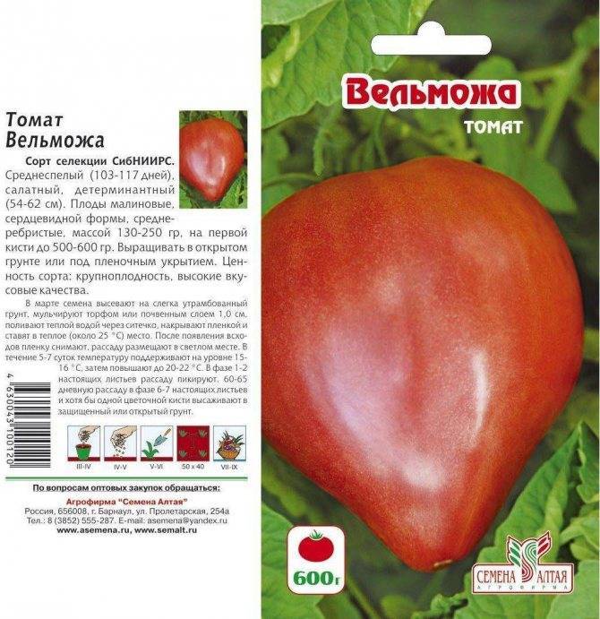 Характеристика томата Пылающее сердце и техника выращивания сорта