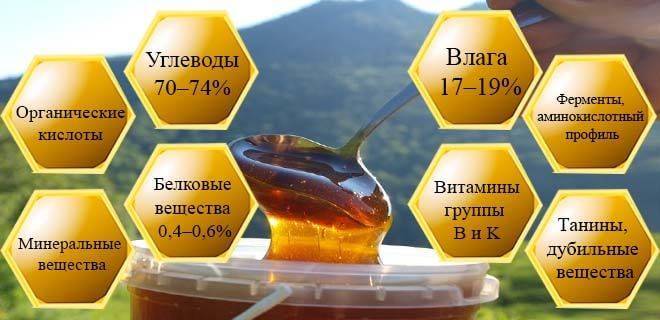 Горный мед: полезные свойства, описание и противопоказания