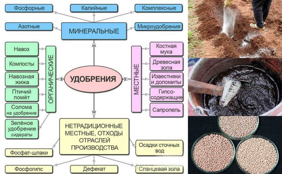 Органические удобрения проект по химии