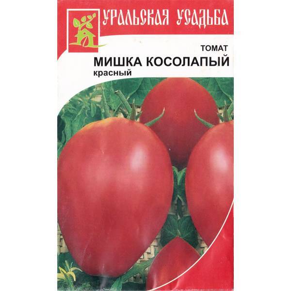 Помидоры мишка косолапый описание сорта фото Томат Мишка Косолапый: характеристика и описание сорта, урожайность, отзывы с фо