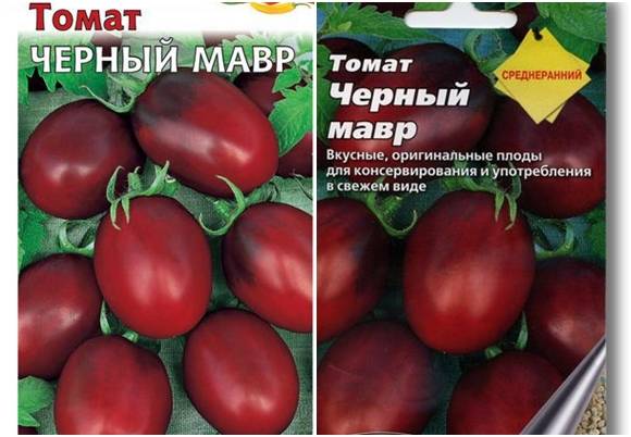 Томат черный мавр: характеристика и описание сорта с фото, отзывы. посадка и уход за помидорами