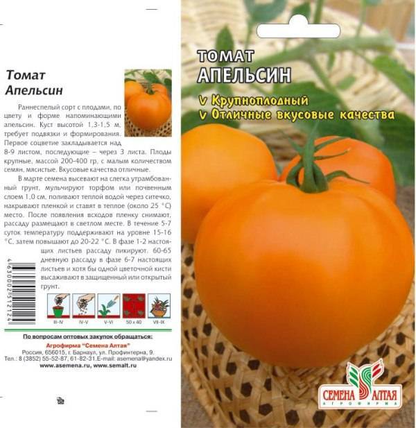Описание сорта томата Апельсин, его характеристика и урожайность
