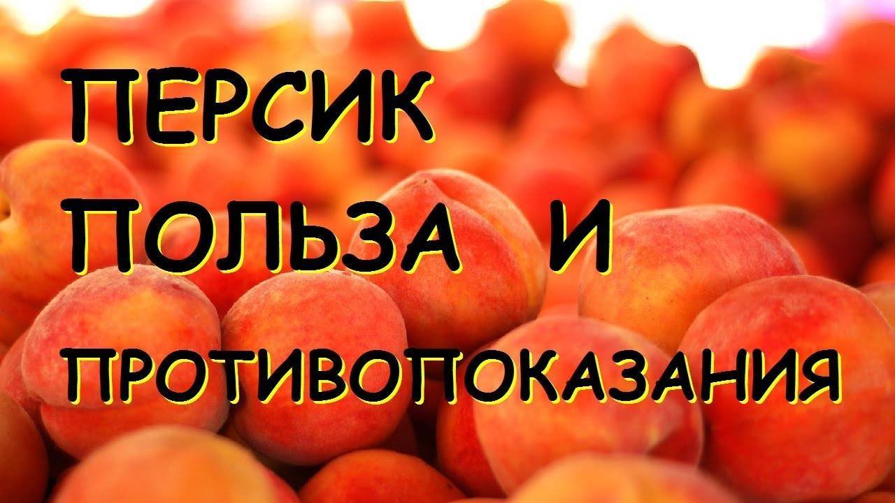 Полезные свойства персика, пищевая ценность, химический состав, вред персика при чрезмерном и неправильном употреблении