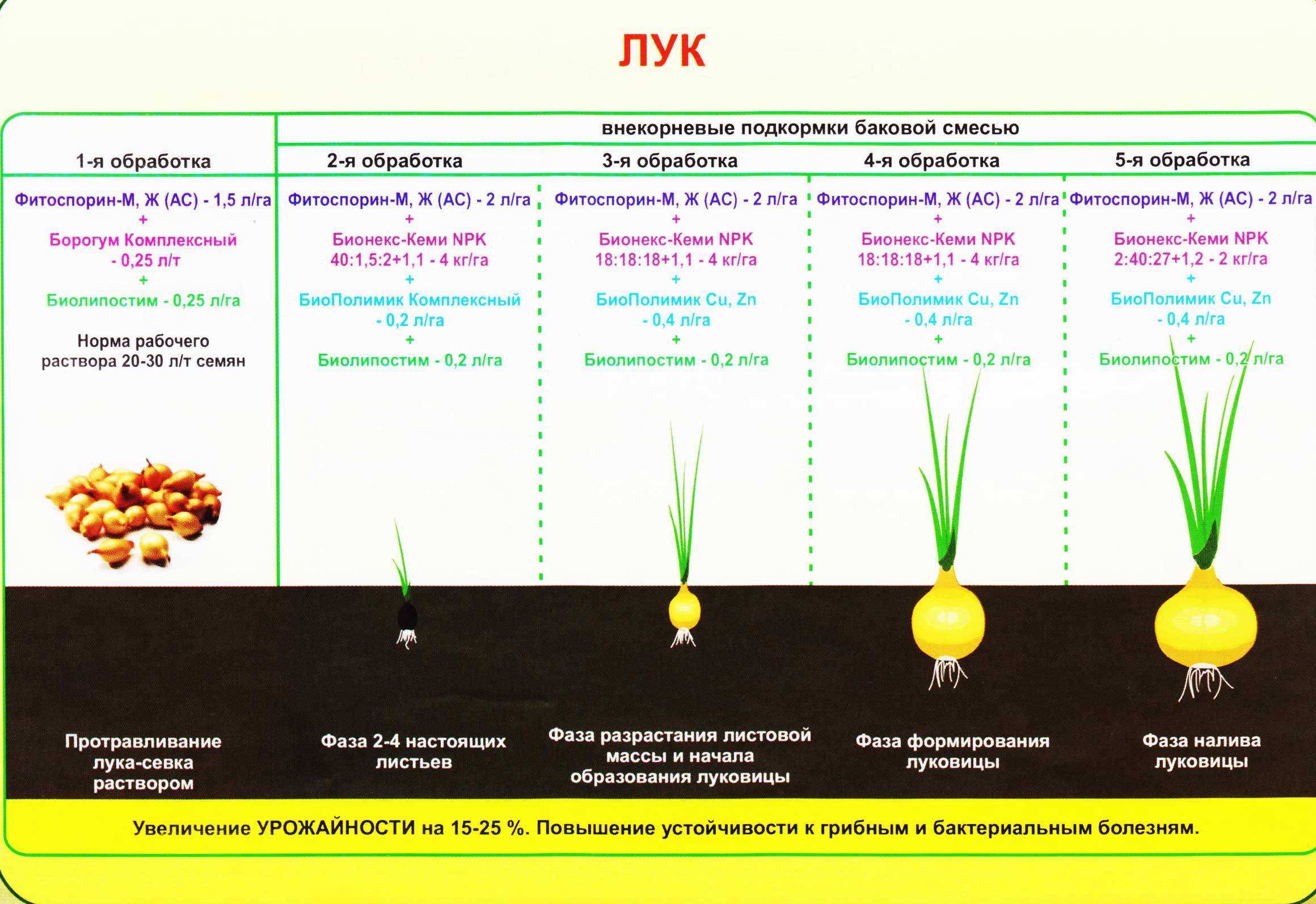 Как и чем подкормить грушу весной до и после цветения: схема внесения удобрений