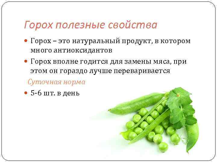 Зеленый горошек (свежий и консервированный): польза и вред